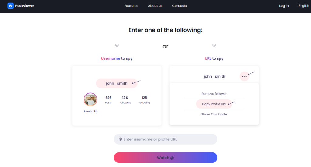 How to use Peekviewer – entering the target Instagram username to start monitoring